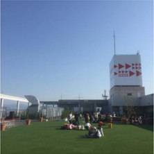 instagram みんなの投稿