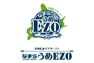 logo-namara-umeezo